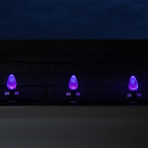 C7 Purple Kringle Traditions LED Bulbs - 25 Pack