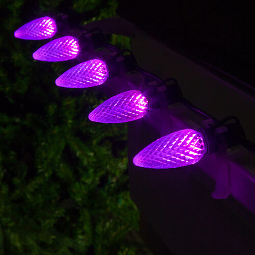 C9 Purple OptiCore LED Bulbs - 25 Pack