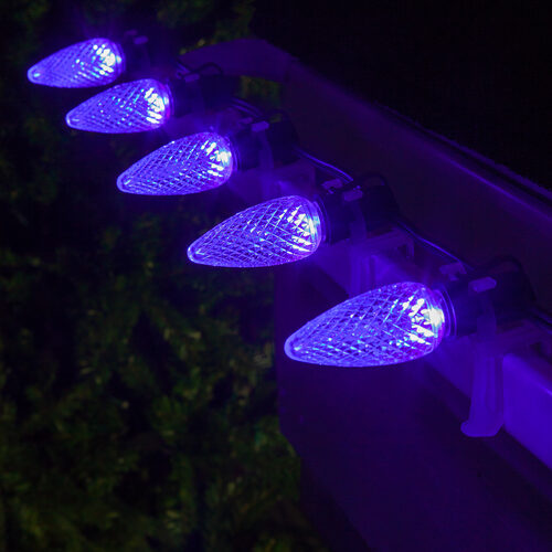 C9 Purple Kringle Traditions LED Bulbs - 25 Pack