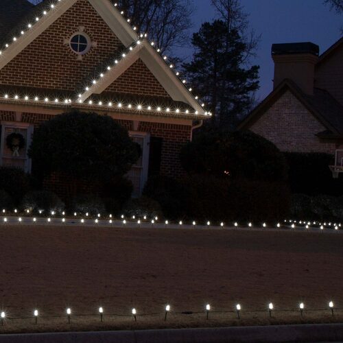 C7 Cool White Kringle Traditions LED Bulbs - 25 Pack
