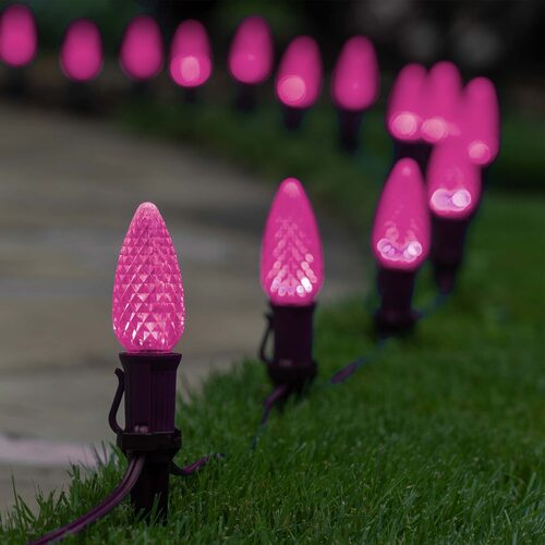 C9 Pink OptiCore LED Bulbs - 25 Pack