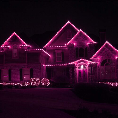 C9 Pink Kringle Traditions LED Bulbs - 25 Pack