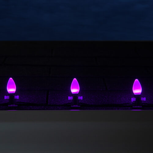 C7 Opaque Purple OptiCore LED Bulbs - 25 Pack