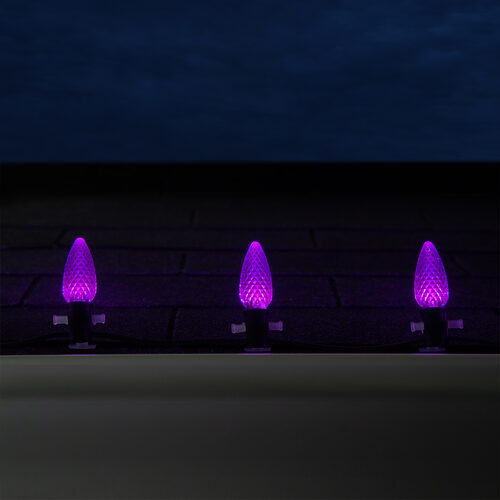 C9 Purple OptiCore LED Bulbs - 25 Pack