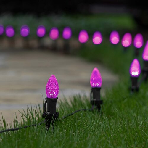 C7 Pink OptiCore LED Bulbs - 25 Pack